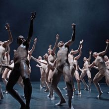 tanzmainz Comes to Danse Danse This Month
