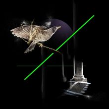 Samstag’s 2025 Kudlila Season Launches With Two Exhibitions This Month