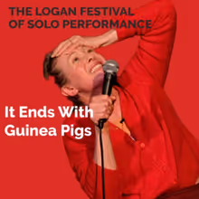 BWW Reviews: IT ENDS WITH GUINEA PIGS at 1st Stage
