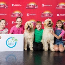 ANNIE Partners With RSPCA as New Performances Released in Melbourne