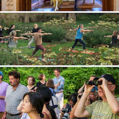 Caramoor Expands Community and Family Programming for 2026 Summer Season