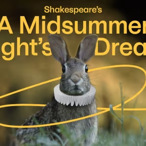 2023 Marks 40 Years of Dream in High Park