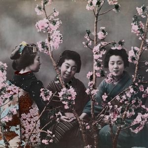 Washington Pavilion to Host National Geographic Photography Exhibition Opening…