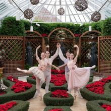 Pittsburgh Ballet Theatre School and Phipps Conservatory and Botanical Gardens Will H