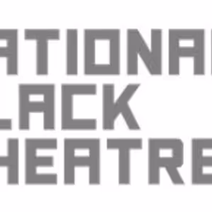 National Black Theatre Will Present Sarah Jones, Amy Sherald Stage Adaptations in…