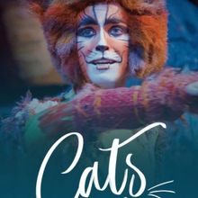 CATS Comes to Music Theatre Wichita in September