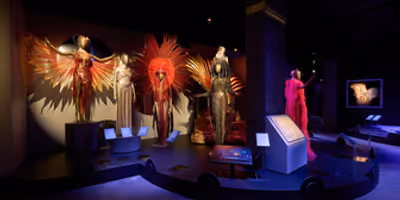 Australian Museum Of Performing Arts To Open DIVA, A New Blockbuster Exhibition Photo