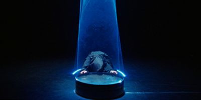 Choreographer Eric Cheung to Premiere CONTRA at Scotiabank Dance Centre Photo