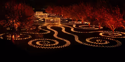 Brooklyn Botanic Garden's Lightscape Opens To The Public For 2025 Photo
