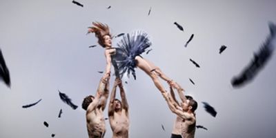 Circa’s Acrobatic Spectacle DUCK POND Flies Into Sydney Opera House This January Photo