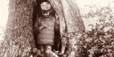 Creative Team Unveiled for THE BIG ONE HUNDRED Celebrating 100 Years of Winnie-the-Pooh Photo