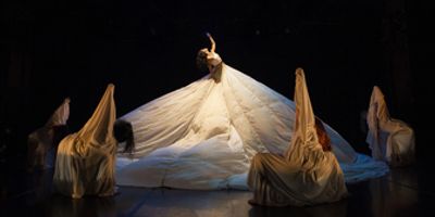 20th Annual CUBACARIBE FESTIVAL OF DANCE & MUSIC to Take Place in San Francisco Photo