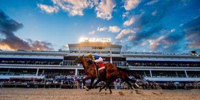 Empire of the Sun and Two Friends to Headline 2026 Pegasus World Cup Photo