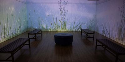 Morris Museum in Morristown-A Fascinating Destination for Culture and Art Photo