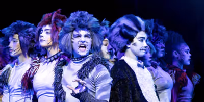 Orbit Arts Academy to Present CATS: Young Actors Edition Photo