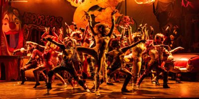 Photos: First Look at CATS THE MUSICAL at CM Performing Arts Center Photo