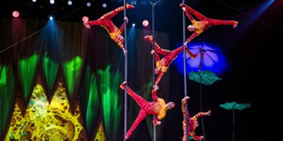 Cirque du Soleil’s OVO Brings a Bold New Buzz to New Orleans Photo