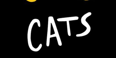 Review: CATS at Broadway Palm Photo