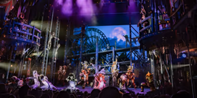 Review: CATS at Fulton Theatre Photo