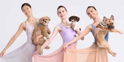 Review: GRACE TO THE RESCUE Was a Night Celebrating Love, Animals, and Dance Photo