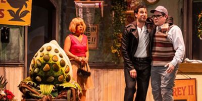 Review: Greater Boston Stage Company's LITTLE SHOP of Delights Photo