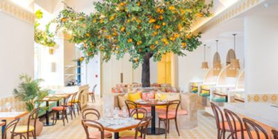 Review:  MAMA MEZZE Brings the Finest Eastern Mediterranean Cuisine to NoMad Photo