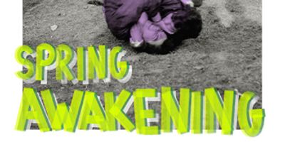 Review: SPRING AWAKENING at Volksoper Photo