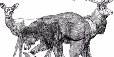 Review: THE CALL at The Shedd Theater Photo