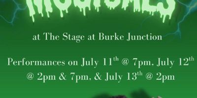 Review: THE GUY WHO DIDN'T LIKE MUSICALS at The Stage At Burke Junction Photo