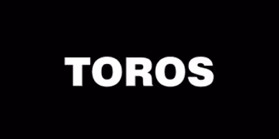 Review: TOROS at Rec Room Arts Photo