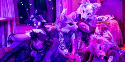 Review: THE WOLF YOU FEED at The Vortex Theatre Photo