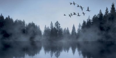 SWAN LAKE is Now Playing at the National Theatre in Prague Photo