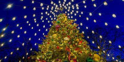 TAVERN ON THE GREEN-The Annual Christmas Tree Lighting on 12/2 Photo