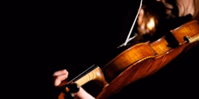 Wichita Symphony Orchestra Will Perform THE FIREBIRD in March Photo