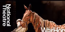 영상: 내셔널 씨어터의 WAR HORSE 팀이 말 인형 조이가 어떻게 생명을 얻는지 공개하다 Photo