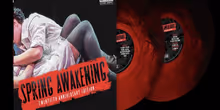 אלבום ההרכה המקורי של SPRING AWAKENING יוצא לתקליט בפעם הראשונה, כולל דואט בלתי מוקלט של Lea Michele ו-Gavin Creel Photo