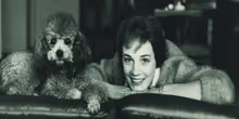אקסקלוסיבי: Julie Andrews "עצבנית" לראות את הסרט התיעודי שלה ומקווה שהוא ישמש כספר הזכרונות השלישי שלה Photo