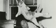 Nouvelle exposition photo à la NYPL mettant en lumière les muses animales de Broadway et au-delà Photo