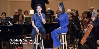 Vidéo : Regardez Norm Lewis, Joy Woods et d'autres dans les moments forts de SETH RUDETSKY & FRIENDS à Carnegie Hall