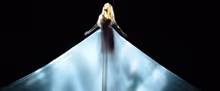 Interview: Moses Pendleton talks ALICE coming to Bass Concert Hall