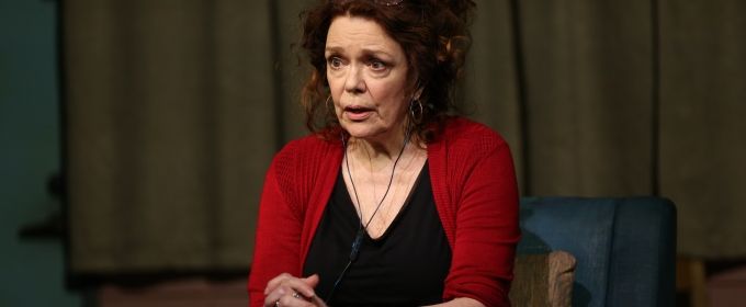Photo Flash: DANA H. Extends at Vineyard Theatre; Get a First Look! Photos