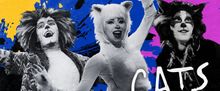 CATS Begins Performances This Week at Wagon Wheel Center for the Arts