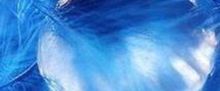 Blue Pearl Theatrics to Launch Tuition-Free Youth Conservatory