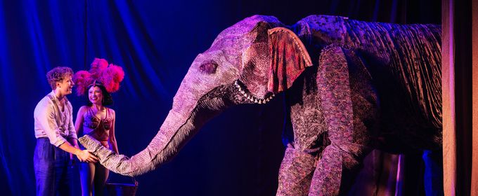 Review: WATER FOR ELEPHANTS Tour at Broadway In Chicago