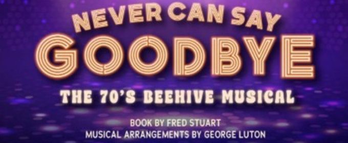 NEVER CAN SAY GOODBYE: THE '70S BEEHIVE MUSICAL to Open at Actors Theatre of Indiana
