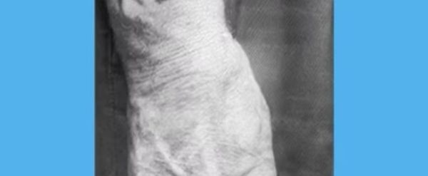 Review: MAZEL at Theatre Artists Studio