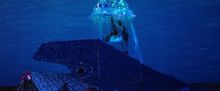 ACQUAPROFONDA to Return to Aquarium of the Pacific With Long Beach Opera
