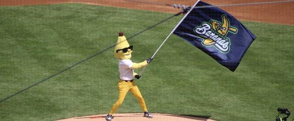 Review: The Savannah Bananas BANANA BALL at Yankee Stadium was Truly Bananas