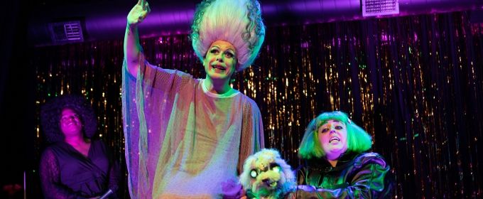 Photos: First Look at Hell in a Handbag Productions' FRANKENSTREISAND Photos