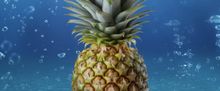 Cast Set For THE SPONGEBOB MUSICAL at Cygnet Theatre